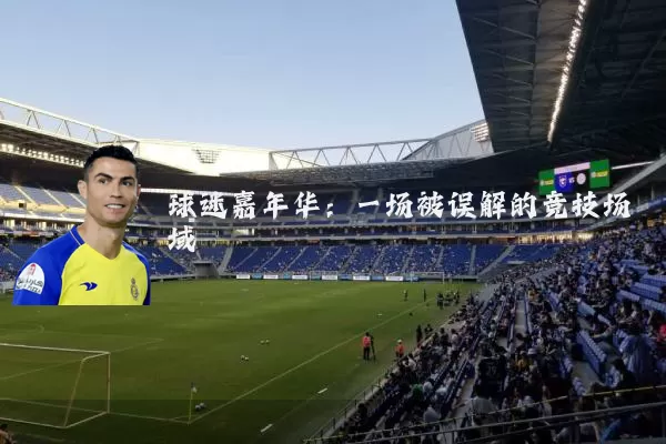 球迷嘉年华:一场被误解的竞技场域